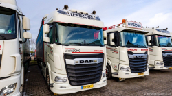 20251129-Lewiszong-00050